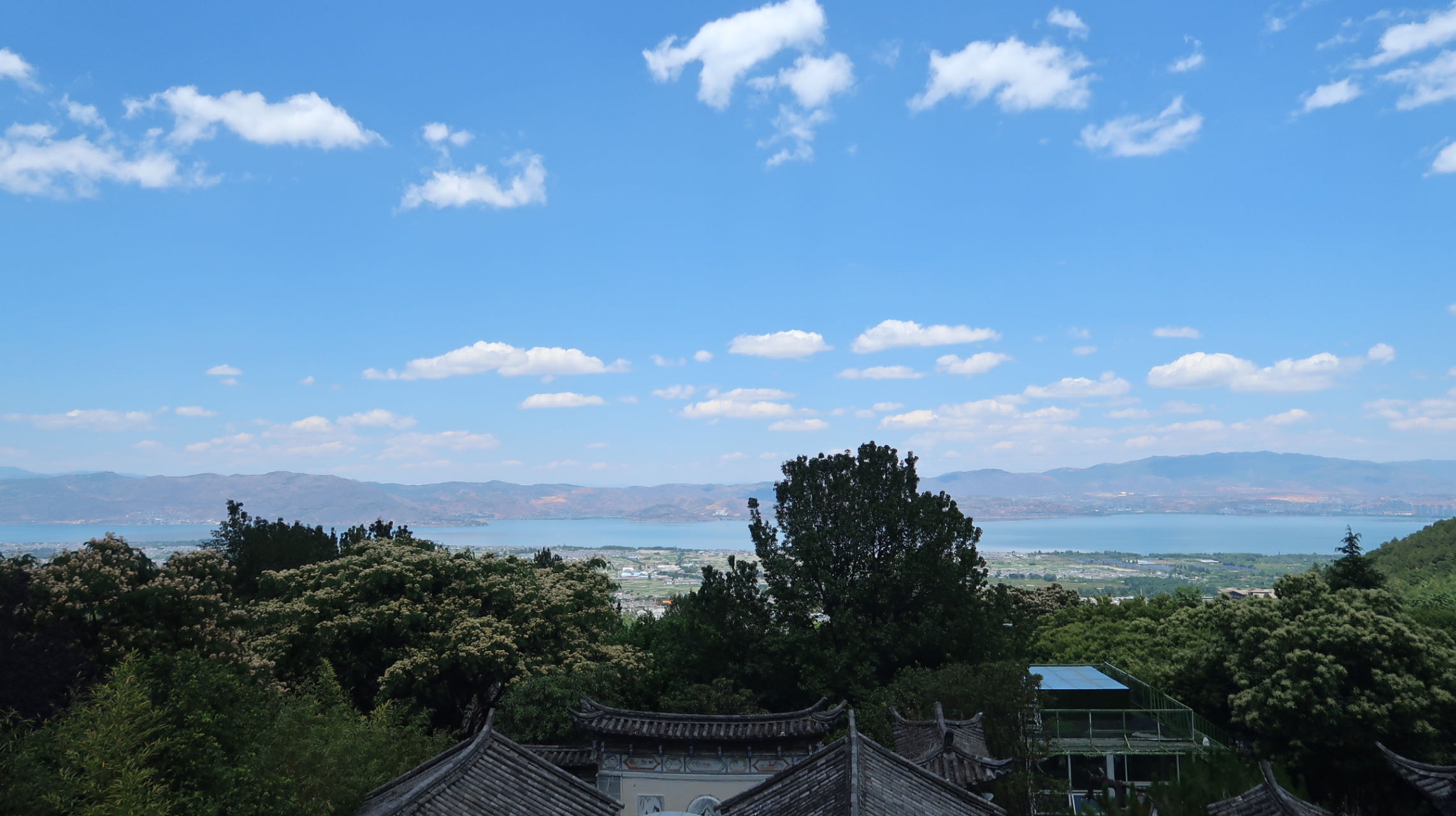 威尼斯87978797(中国)老品牌-官方网站